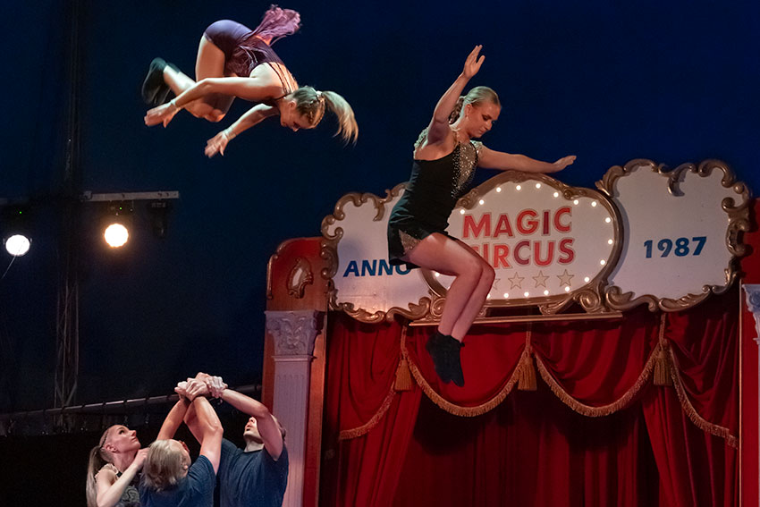 magic-circus.nl